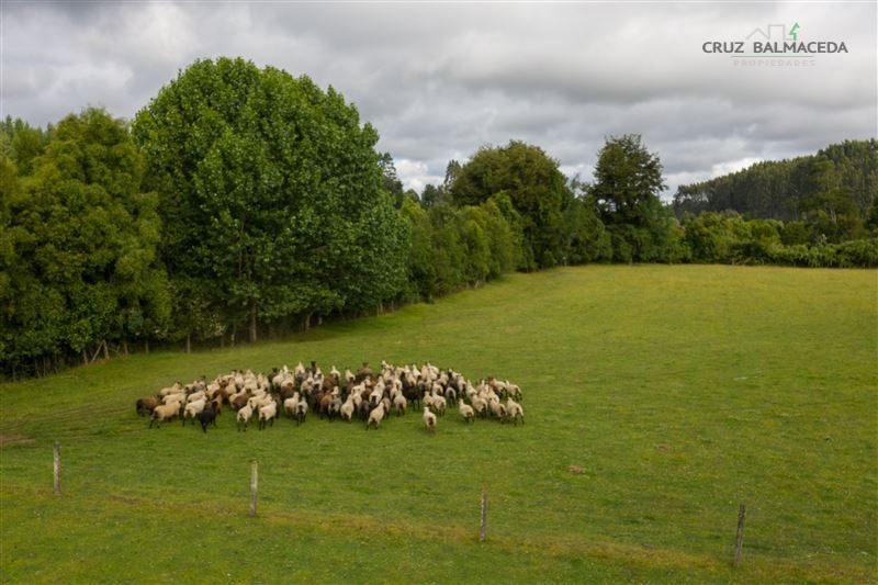 Parcela en venta en Puerto Montt — foto 3