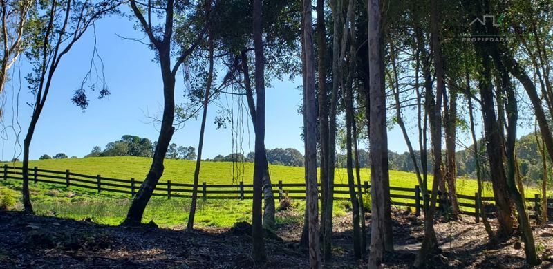 Parcela en venta en Puerto Varas — foto 5