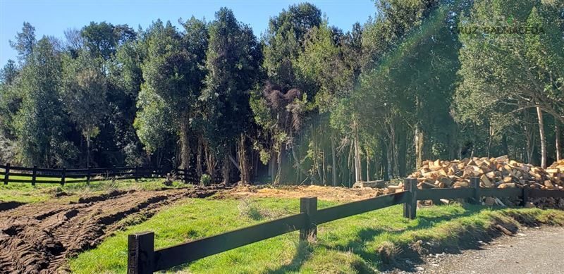 Parcela en venta en Puerto Varas — foto 9