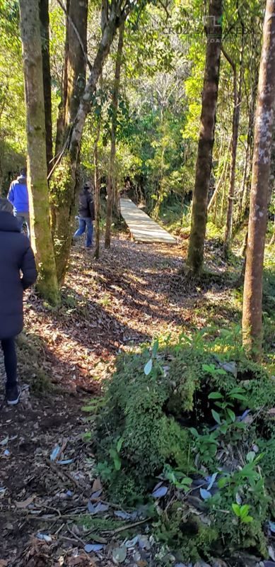 Parcela en venta en Puerto Varas — foto 10
