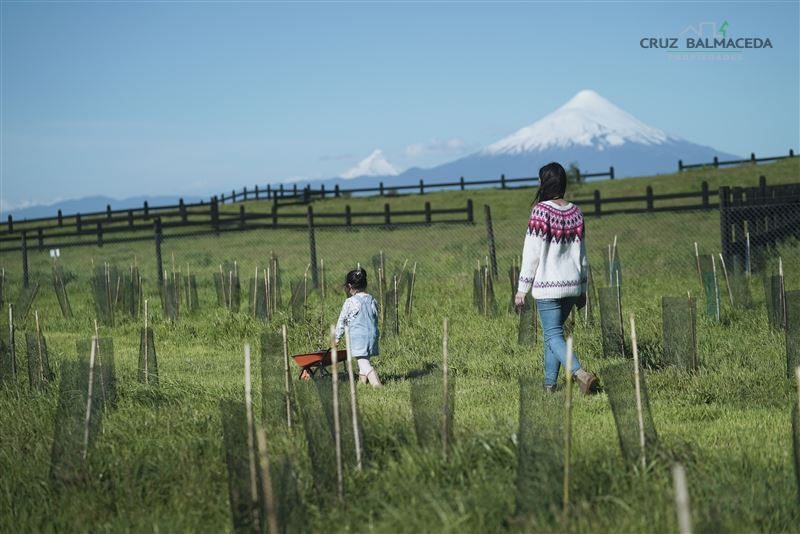Parcela en venta en Puerto Varas — foto 6