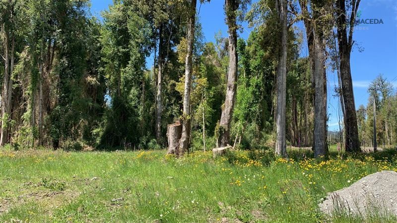 Parcela en venta en Puerto Varas — foto 3