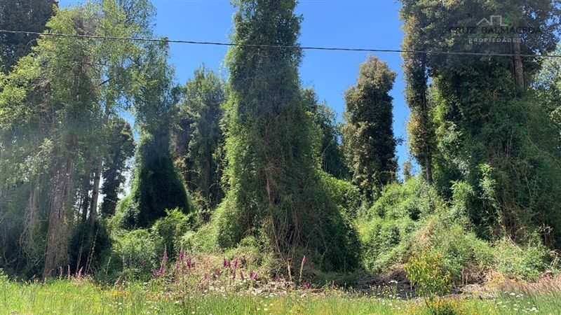 Parcela en venta en Puerto Varas — foto 4