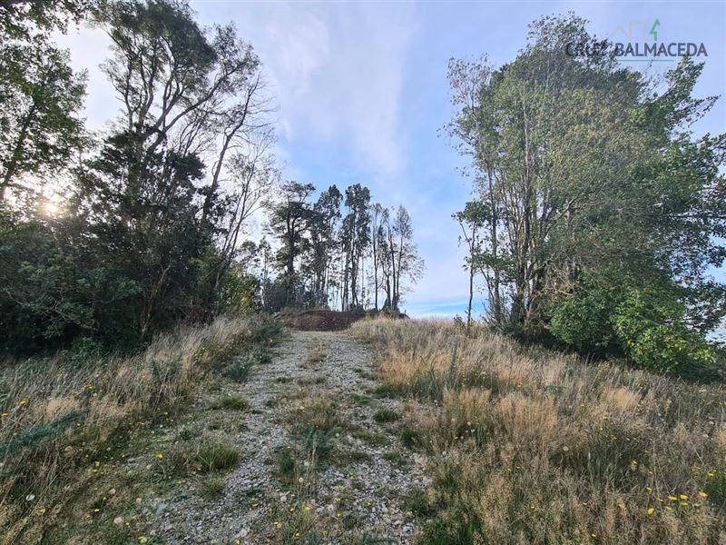 Parcela en venta en Puerto Varas — foto 8