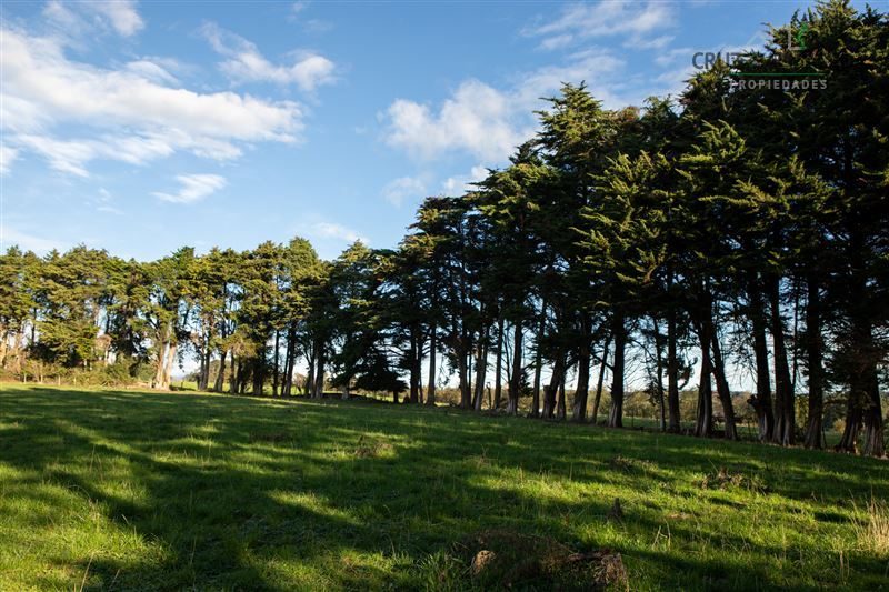 Parcela en venta en Puerto Varas — foto 8
