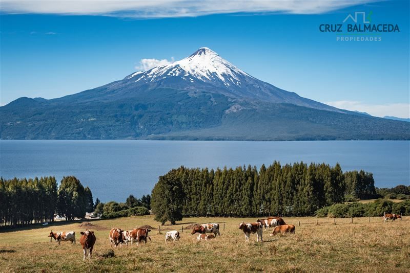 Parcela en venta en Puerto Varas — foto 4