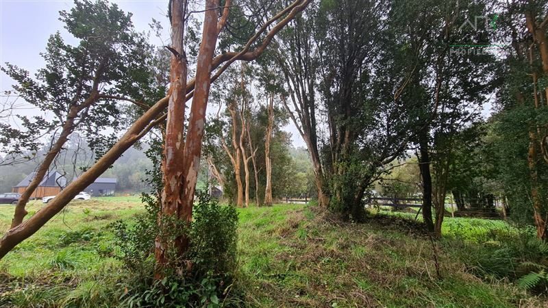 Parcela en venta en Puerto Varas — foto 3