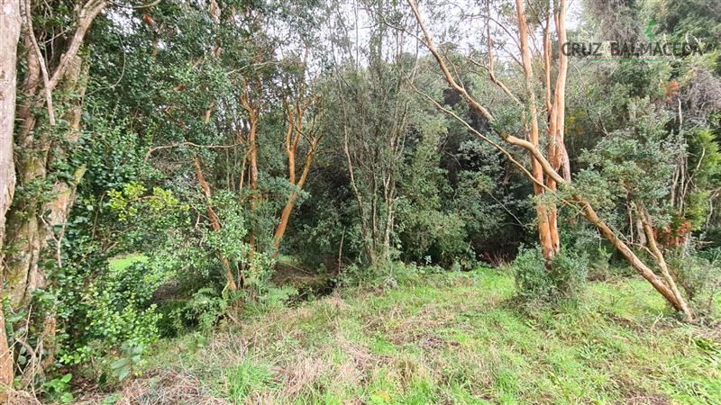 Parcela en venta en Puerto Varas — foto 4