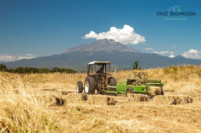 Parcela en venta en Puerto Varas — foto 2