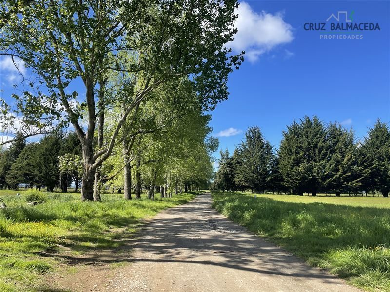 Parcela en venta en Puerto Varas — foto 3