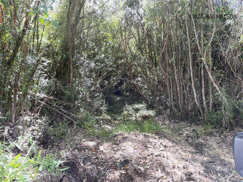 Parcela en venta en Puerto Varas — foto 5