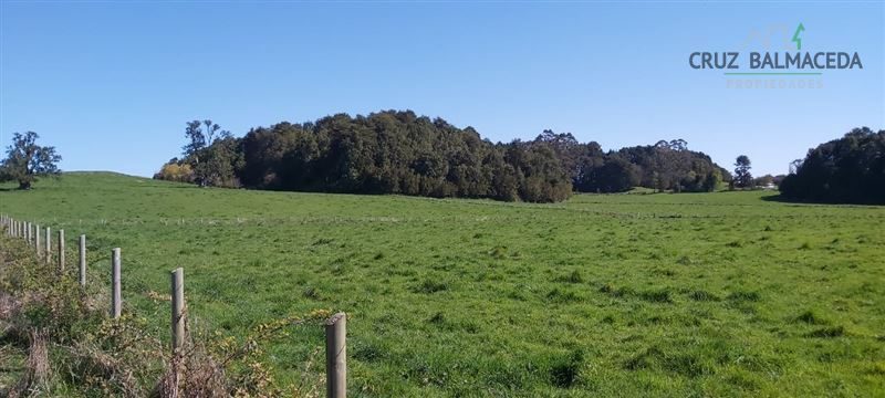Parcela en venta en Puerto Varas — foto 4