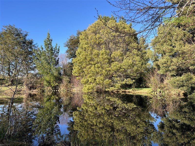 Parcela en venta en Puerto Varas — foto 10