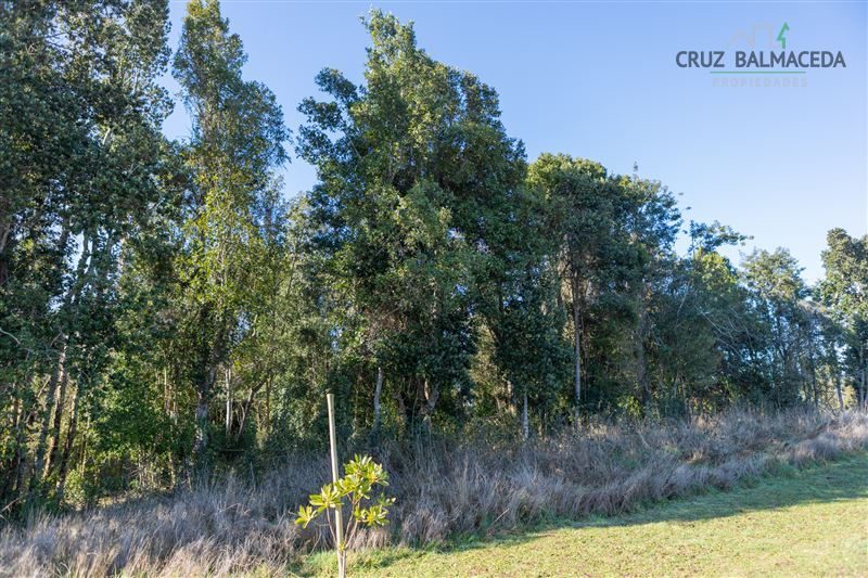 Parcela en venta en Puerto Varas — foto 4