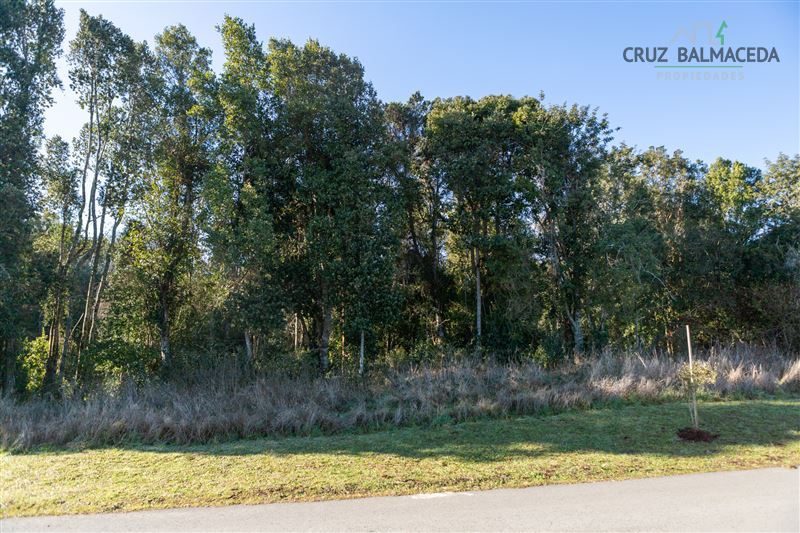 Parcela en venta en Puerto Varas — foto 5