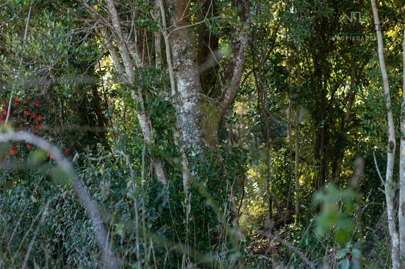 Parcela en venta en Puerto Varas — foto 8
