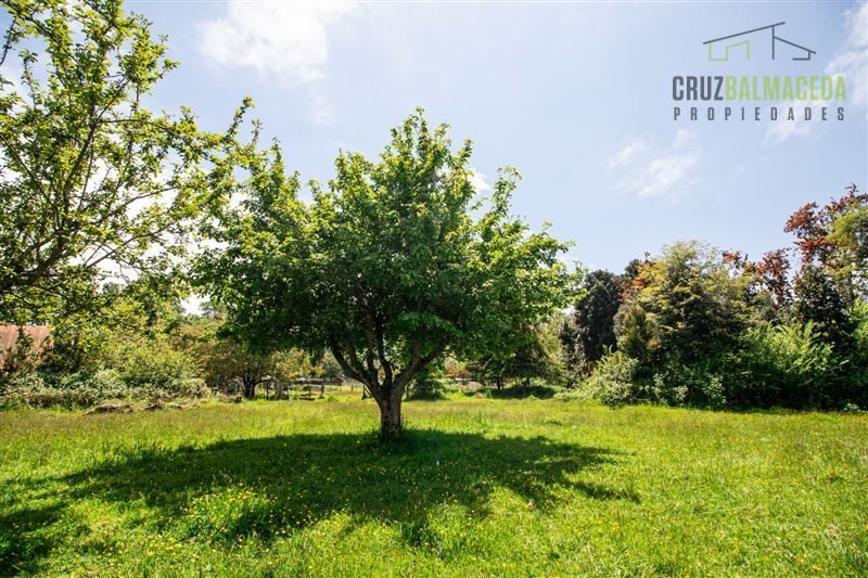 Parcela en venta en Lago Ranco — foto 10