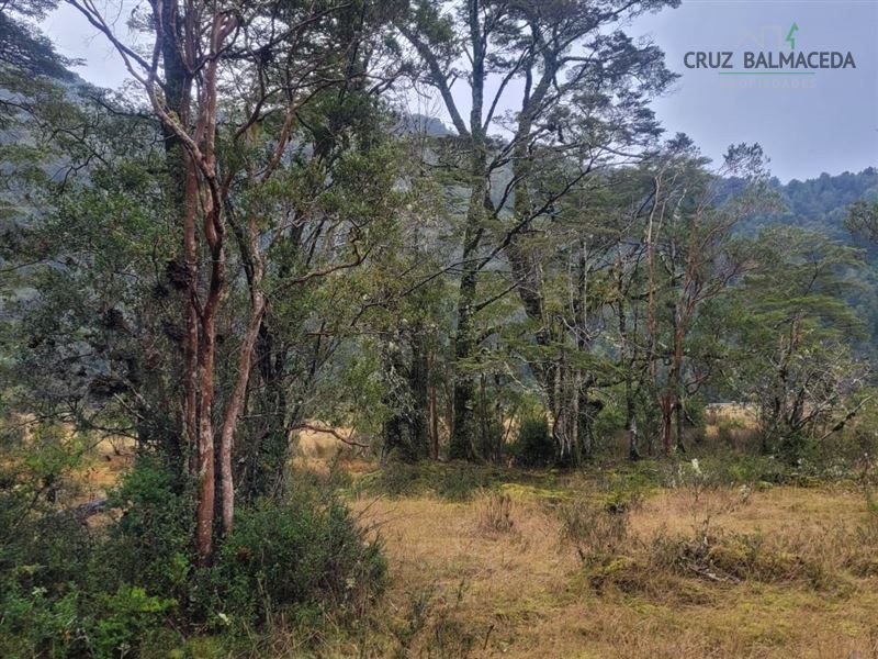 Parcela en venta en Cochamó — foto 5