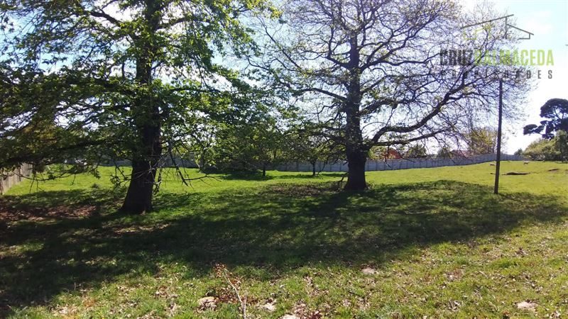 Terreno en arriendo en Puerto Varas — foto 5