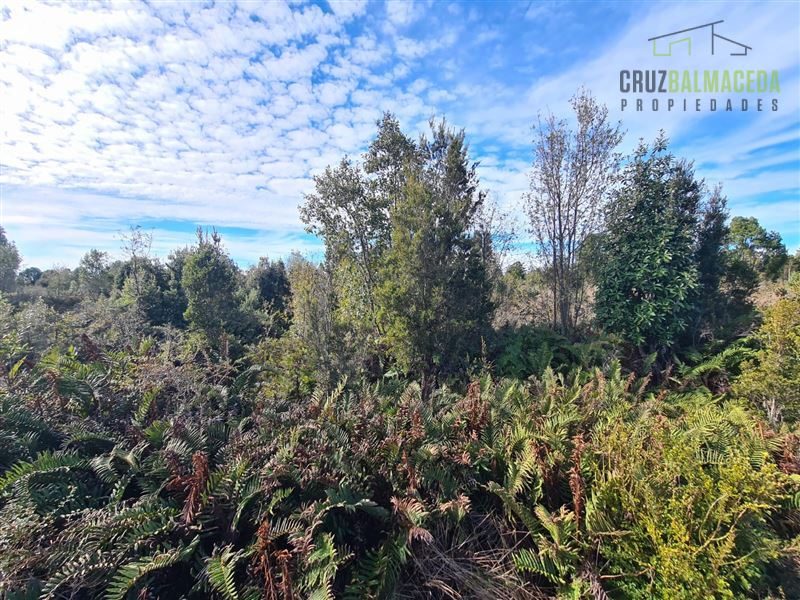Parcela en venta en Puerto Montt — foto 8