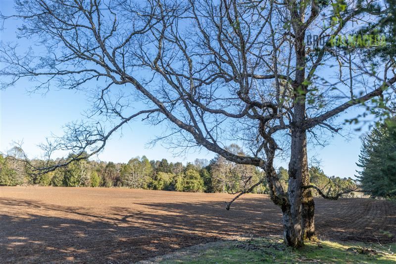 Parcela en venta en Fresia — foto 2