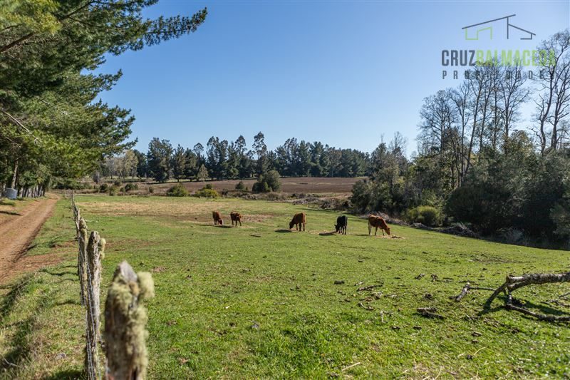 Parcela en venta en Fresia — foto 4