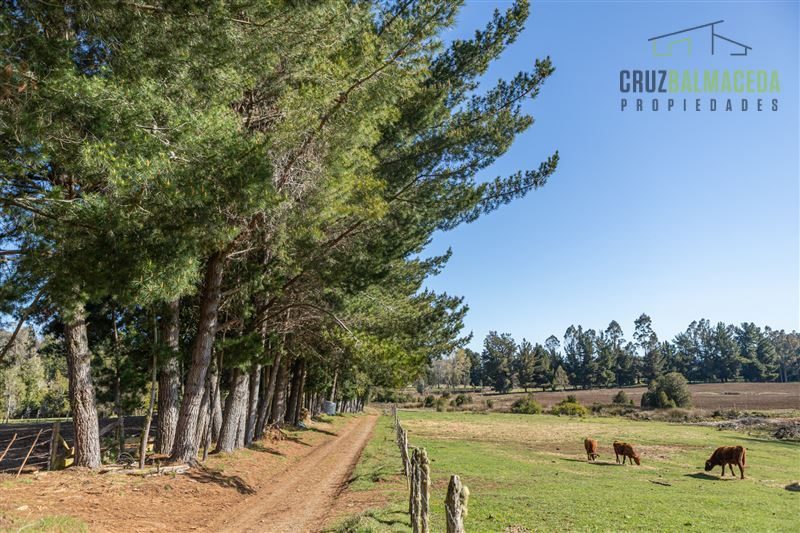 Parcela en venta en Fresia — foto 5