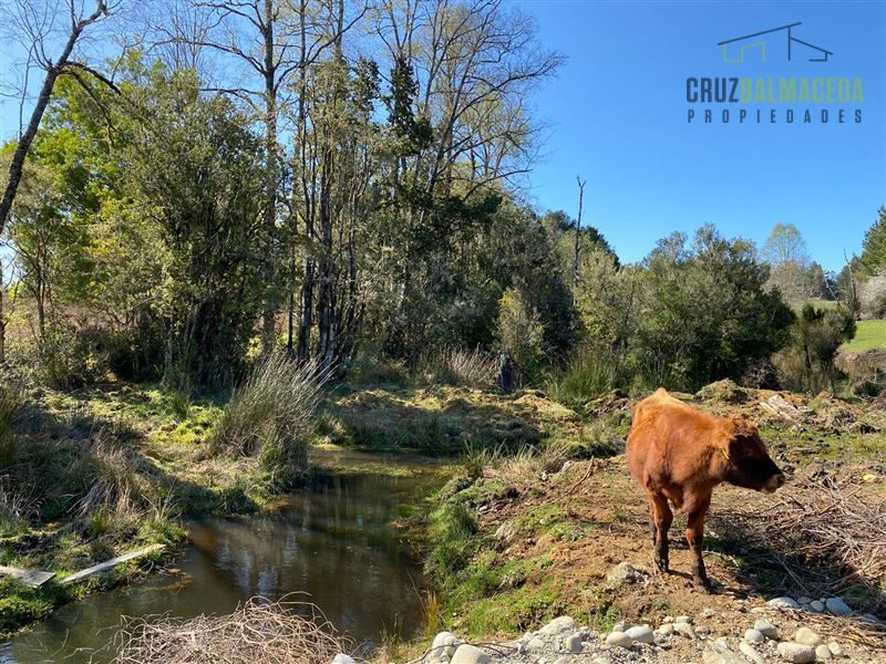 Parcela en venta en Fresia — foto 10