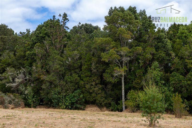 Parcela en venta en Puerto Varas — foto 1