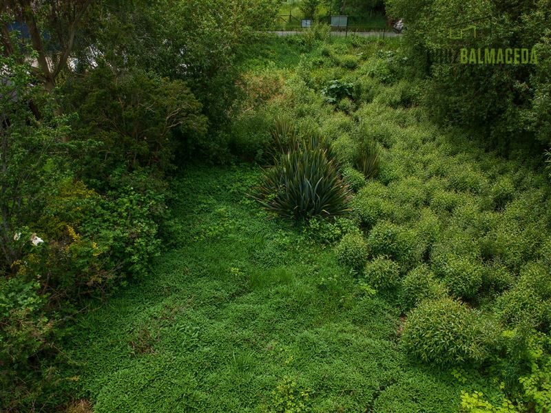Terreno en venta en Puerto Varas — foto 10