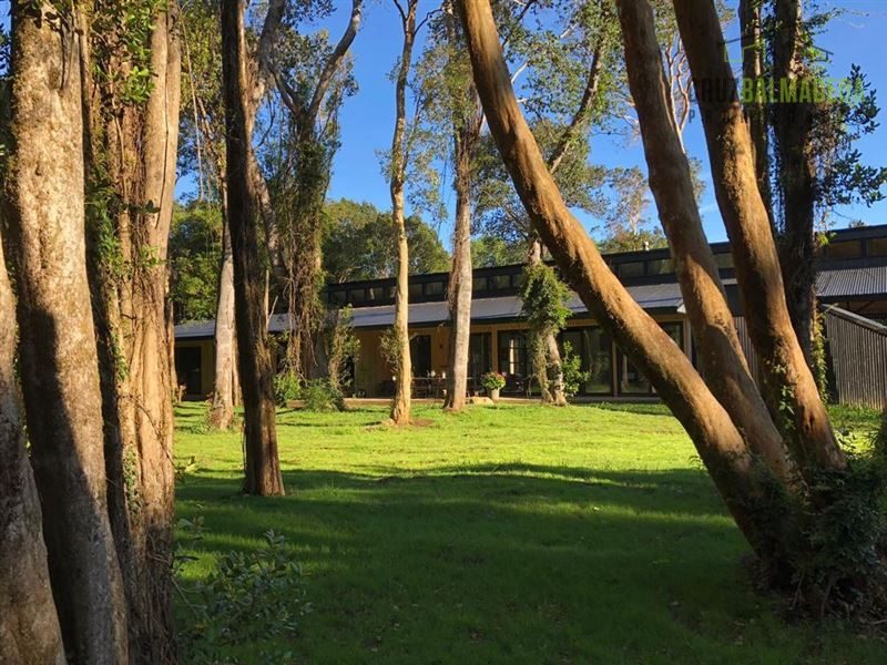 Casa en venta en Puerto Varas — foto 6