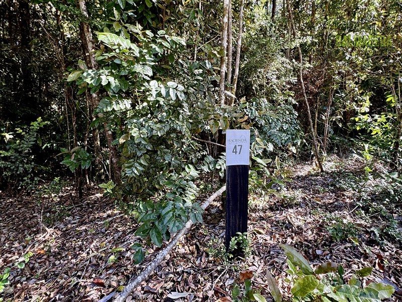 Parcela en venta en Puerto Varas — foto 9
