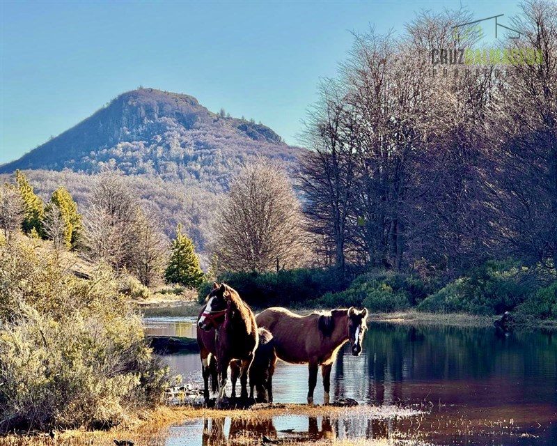 Parcela en venta en Coyhaique — foto 2