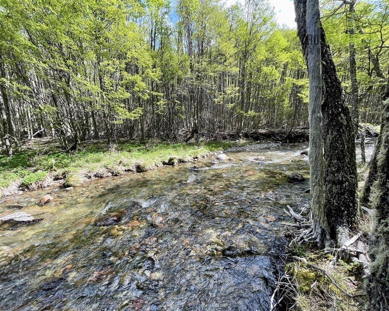 Parcela en venta en Coyhaique — foto 3