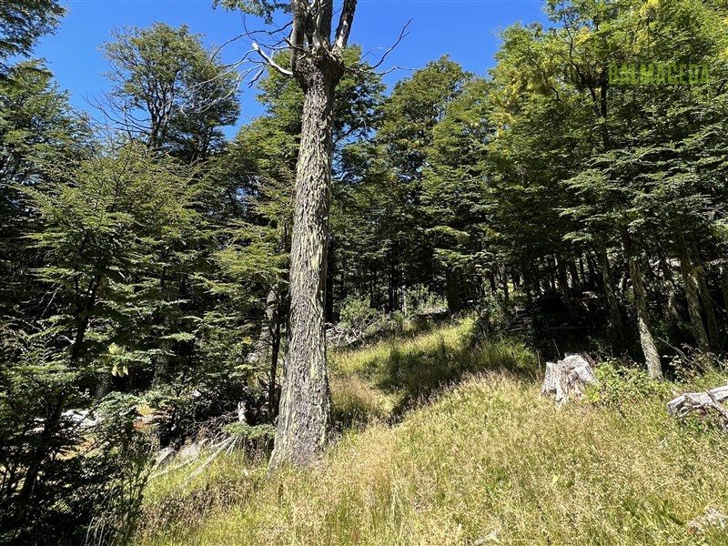 Parcela en venta en Coyhaique — foto 5