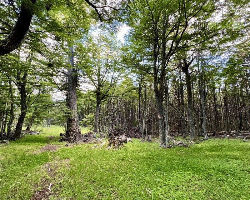 Parcela en venta en Coyhaique — foto 8