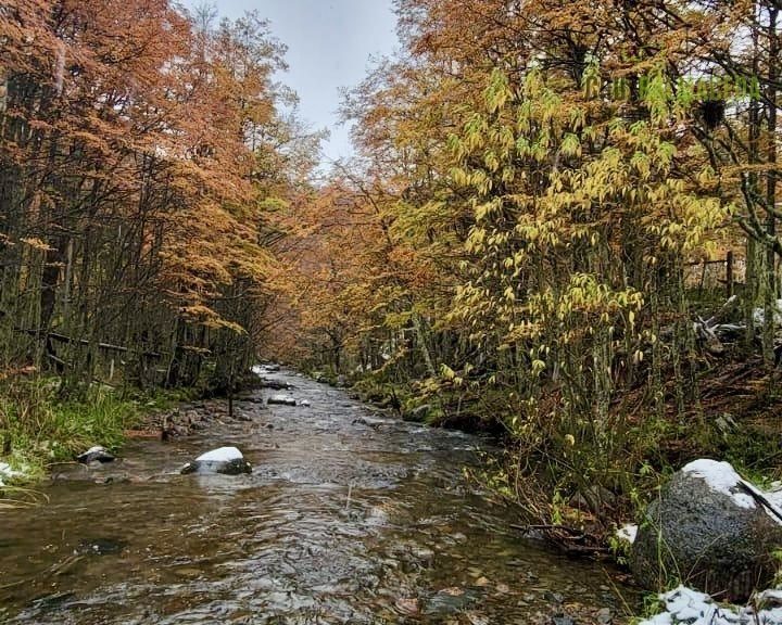 Parcela en venta en Coyhaique — foto 9