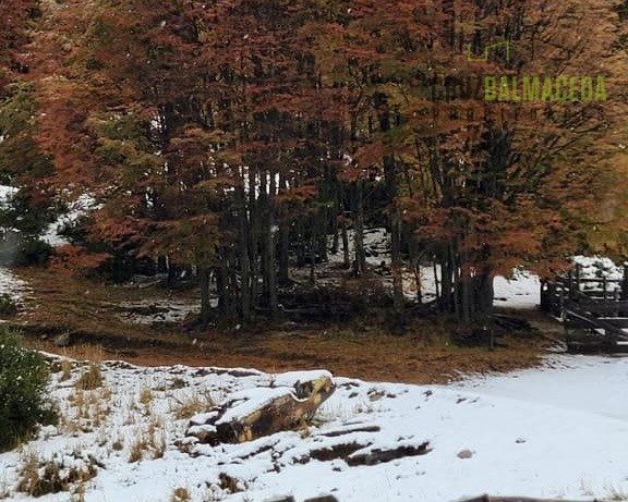 Parcela en venta en Coyhaique — foto 10