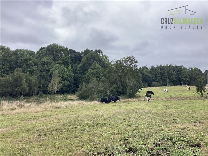 Parcela en venta en Puerto Varas — foto 1