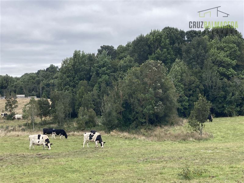 Parcela en venta en Puerto Varas — foto 4