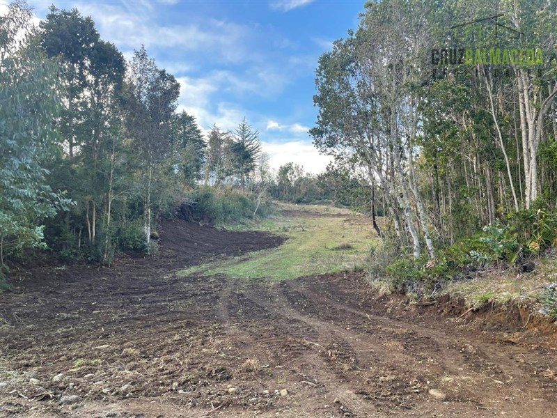Casa en arriendo en Puerto Montt — foto 4