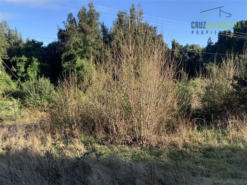 Parcela en venta en Puerto Varas — foto 10