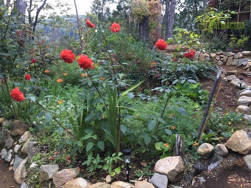 Casa en venta en Cochamó — foto 6