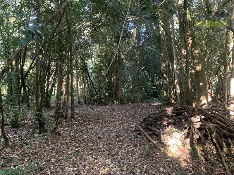 Parcela en venta en Puerto Varas — foto 3