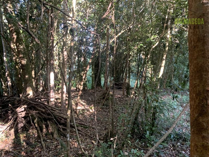 Parcela en venta en Puerto Varas — foto 5