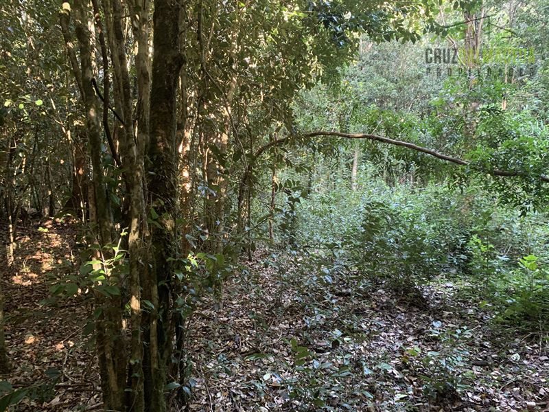 Parcela en venta en Puerto Varas — foto 8