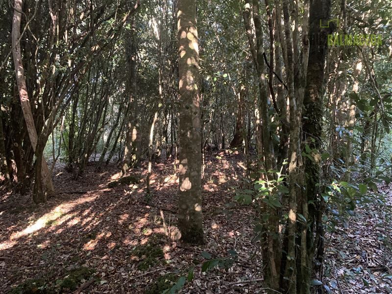 Parcela en venta en Puerto Varas — foto 9