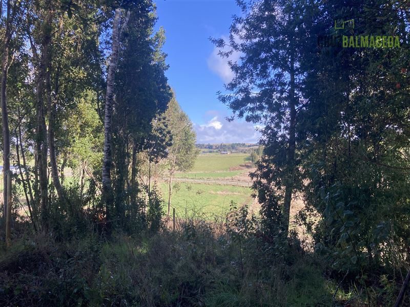 Parcela en venta en Llanquihue — foto 5