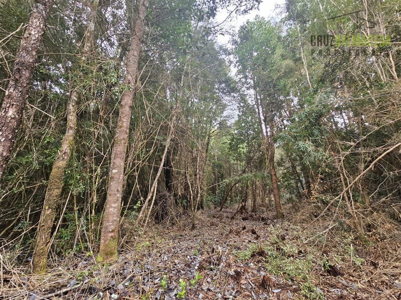 Parcela en venta en Puerto Montt — foto 3