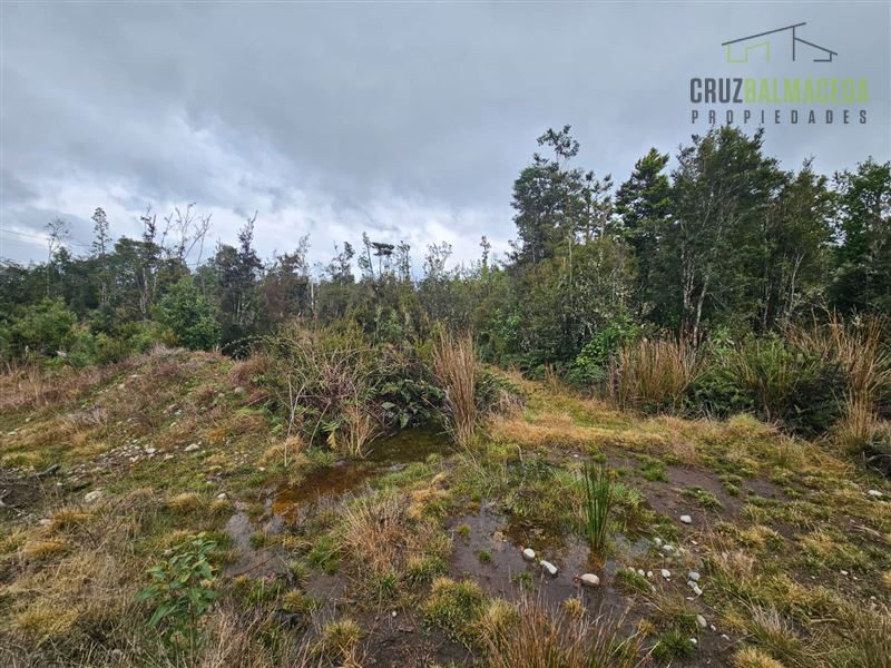 Parcela en venta en Puerto Varas — foto 2
